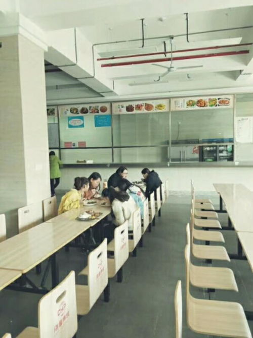 包食宿招移動客服 信息技術咨詢服務，打造專業團隊共促發展